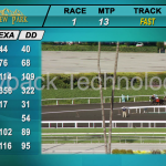 Mountain View Park Horse Race