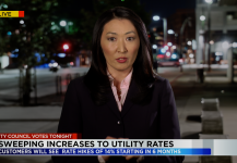 Night Shinobu Rate Hike