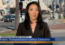 Shinobu Public Safety